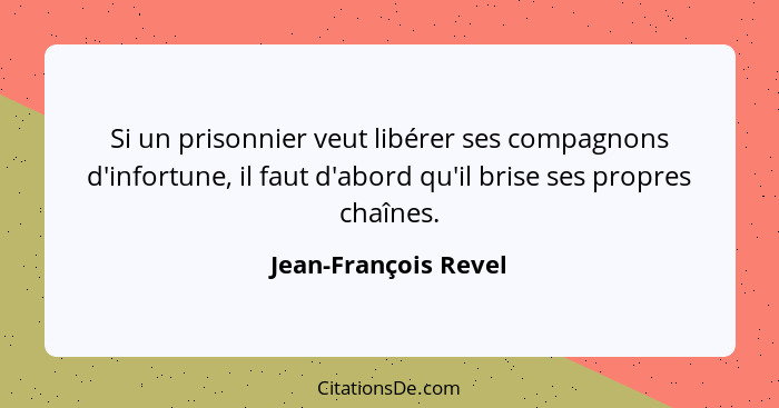 Si un prisonnier veut libérer ses compagnons d'infortune, il faut d'abord qu'il brise ses propres chaînes.... - Jean-François Revel