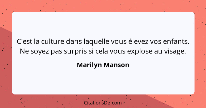 C'est la culture dans laquelle vous élevez vos enfants. Ne soyez pas surpris si cela vous explose au visage.... - Marilyn Manson