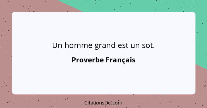 Un homme grand est un sot.... - Proverbe Français