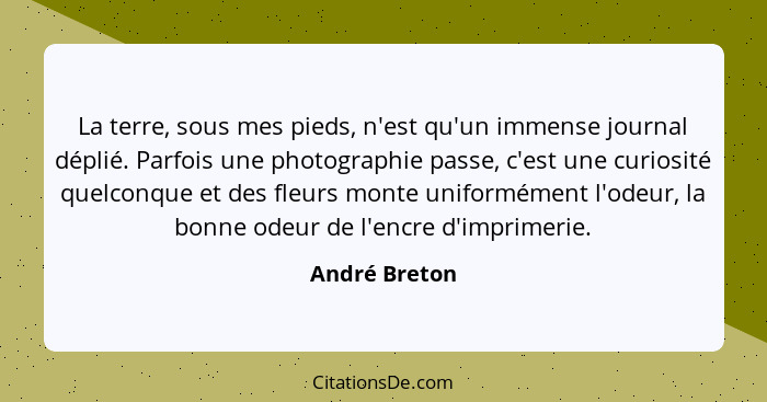 La terre, sous mes pieds, n'est qu'un immense journal déplié. Parfois une photographie passe, c'est une curiosité quelconque et des fle... - André Breton