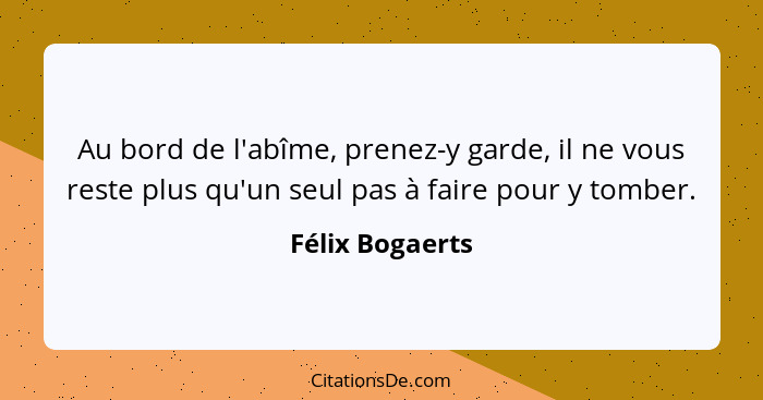 Au bord de l'abîme, prenez-y garde, il ne vous reste plus qu'un seul pas à faire pour y tomber.... - Félix Bogaerts