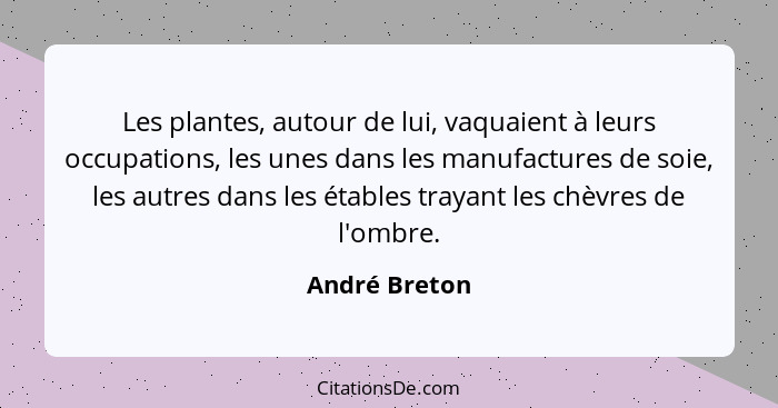 Les plantes, autour de lui, vaquaient à leurs occupations, les unes dans les manufactures de soie, les autres dans les étables trayant... - André Breton