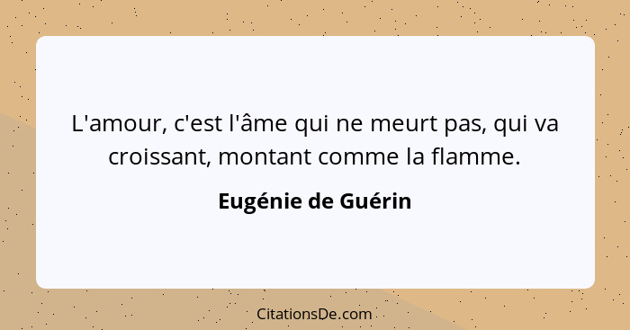 L'amour, c'est l'âme qui ne meurt pas, qui va croissant, montant comme la flamme.... - Eugénie de Guérin