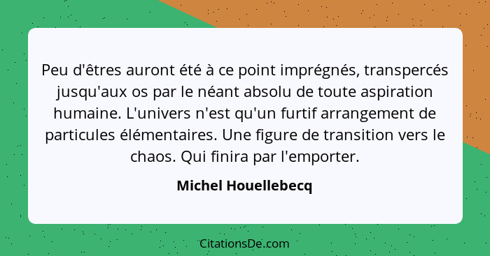 Peu d'êtres auront été à ce point imprégnés, transpercés jusqu'aux os par le néant absolu de toute aspiration humaine. L'univers... - Michel Houellebecq