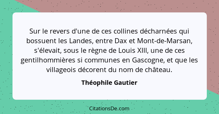 Sur le revers d'une de ces collines décharnées qui bossuent les Landes, entre Dax et Mont-de-Marsan, s'élevait, sous le règne de L... - Théophile Gautier