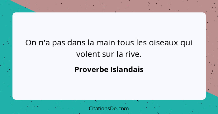 On n'a pas dans la main tous les oiseaux qui volent sur la rive.... - Proverbe Islandais