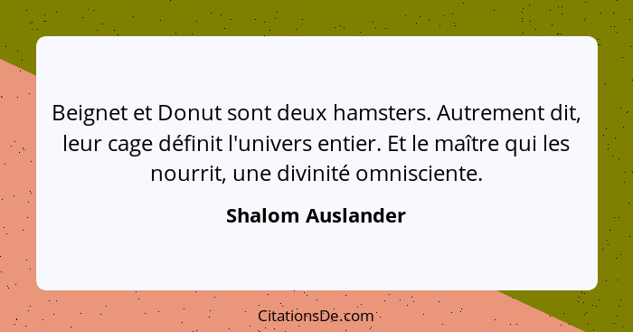 Beignet et Donut sont deux hamsters. Autrement dit, leur cage définit l'univers entier. Et le maître qui les nourrit, une divinité... - Shalom Auslander