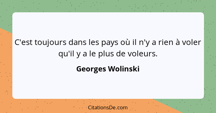 C'est toujours dans les pays où il n'y a rien à voler qu'il y a le plus de voleurs.... - Georges Wolinski