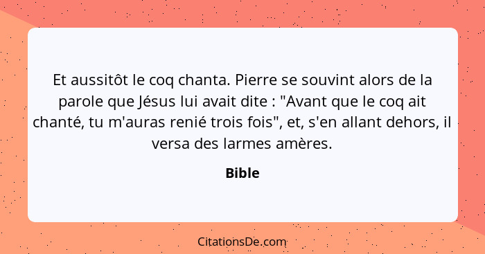 Et aussitôt le coq chanta. Pierre se souvint alors de la parole que Jésus lui avait dite : "Avant que le coq ait chanté, tu m'auras renié... - Bible