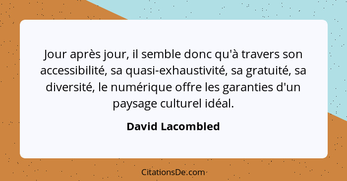 Jour après jour, il semble donc qu'à travers son accessibilité, sa quasi-exhaustivité, sa gratuité, sa diversité, le numérique offre... - David Lacombled