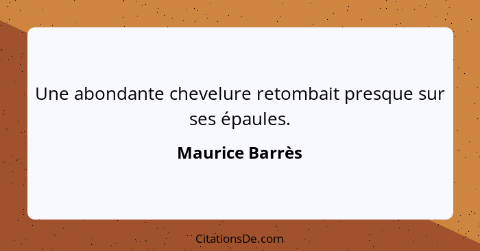 Une abondante chevelure retombait presque sur ses épaules.... - Maurice Barrès