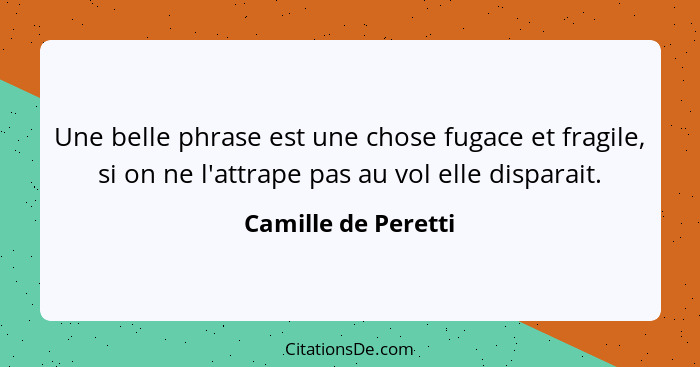 Une belle phrase est une chose fugace et fragile, si on ne l'attrape pas au vol elle disparait.... - Camille de Peretti