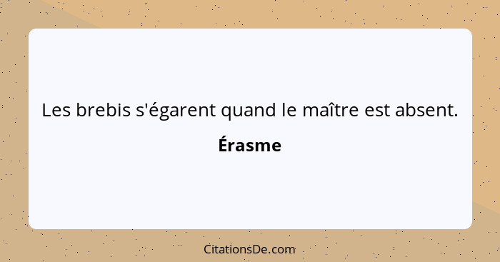 Les brebis s'égarent quand le maître est absent.... - Érasme