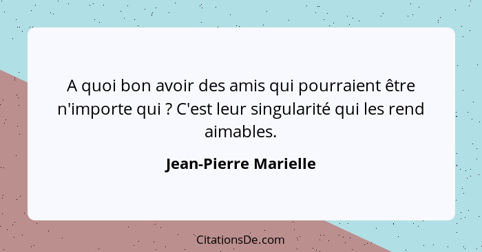 A quoi bon avoir des amis qui pourraient être n'importe qui ? C'est leur singularité qui les rend aimables.... - Jean-Pierre Marielle