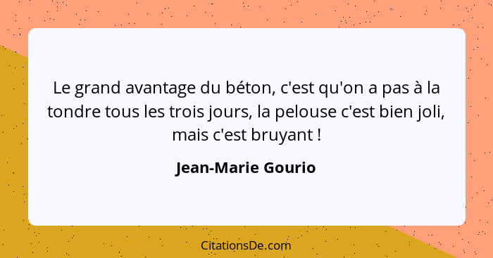 Le grand avantage du béton, c'est qu'on a pas à la tondre tous les trois jours, la pelouse c'est bien joli, mais c'est bruyant&nbs... - Jean-Marie Gourio