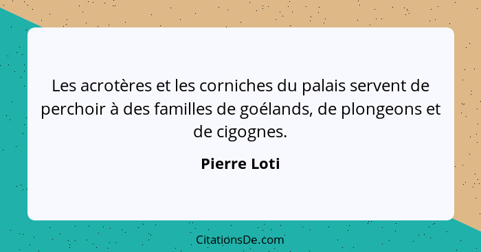 Les acrotères et les corniches du palais servent de perchoir à des familles de goélands, de plongeons et de cigognes.... - Pierre Loti