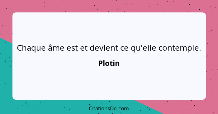 Chaque âme est et devient ce qu'elle contemple.... - Plotin