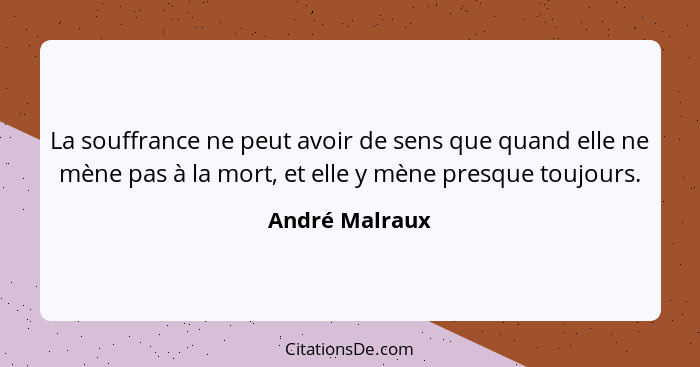 La souffrance ne peut avoir de sens que quand elle ne mène pas à la mort, et elle y mène presque toujours.... - André Malraux