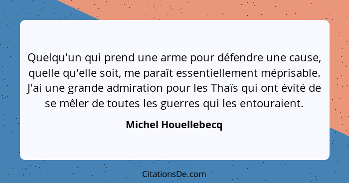 Quelqu'un qui prend une arme pour défendre une cause, quelle qu'elle soit, me paraît essentiellement méprisable. J'ai une grande... - Michel Houellebecq