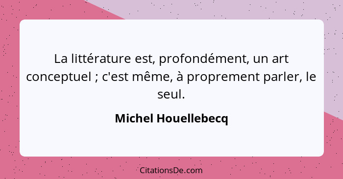 La littérature est, profondément, un art conceptuel ; c'est même, à proprement parler, le seul.... - Michel Houellebecq