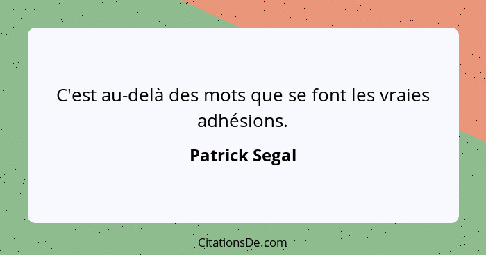 C'est au-delà des mots que se font les vraies adhésions.... - Patrick Segal