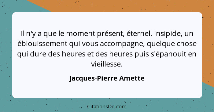 Il n'y a que le moment présent, éternel, insipide, un éblouissement qui vous accompagne, quelque chose qui dure des heures et... - Jacques-Pierre Amette