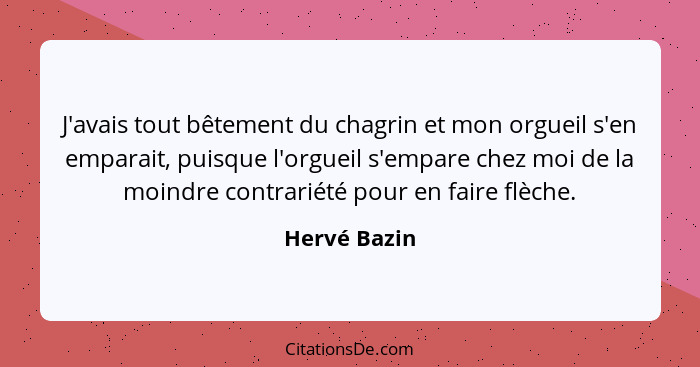 J'avais tout bêtement du chagrin et mon orgueil s'en emparait, puisque l'orgueil s'empare chez moi de la moindre contrariété pour en fai... - Hervé Bazin