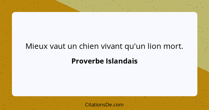 Mieux vaut un chien vivant qu'un lion mort.... - Proverbe Islandais