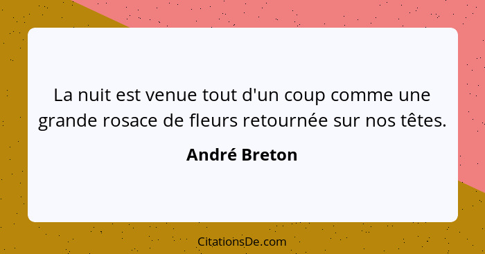 La nuit est venue tout d'un coup comme une grande rosace de fleurs retournée sur nos têtes.... - André Breton