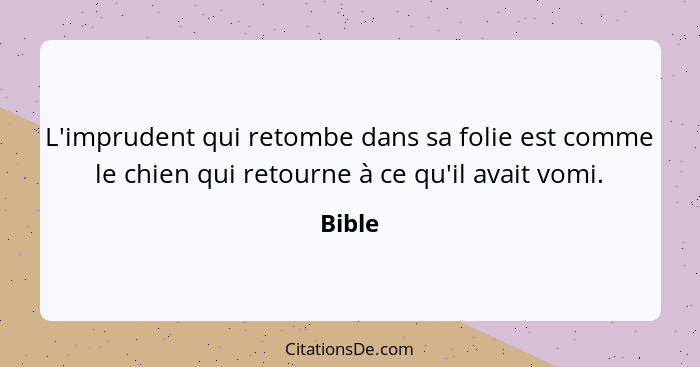 L'imprudent qui retombe dans sa folie est comme le chien qui retourne à ce qu'il avait vomi.... - Bible