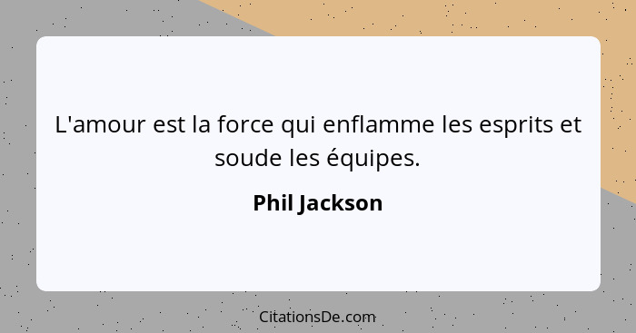 L'amour est la force qui enflamme les esprits et soude les équipes.... - Phil Jackson