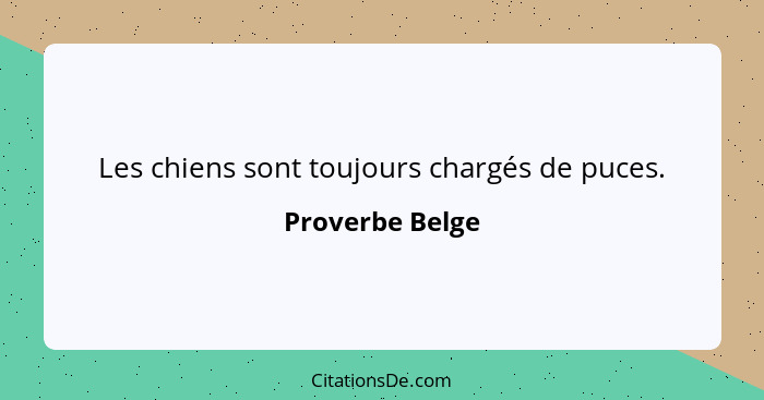 Les chiens sont toujours chargés de puces.... - Proverbe Belge