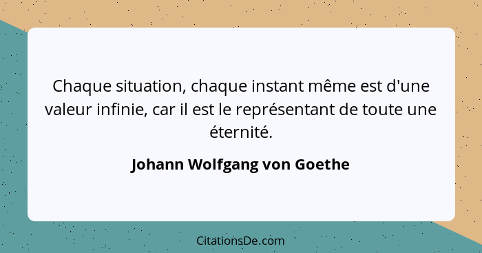 Chaque situation, chaque instant même est d'une valeur infinie, car il est le représentant de toute une éternité.... - Johann Wolfgang von Goethe