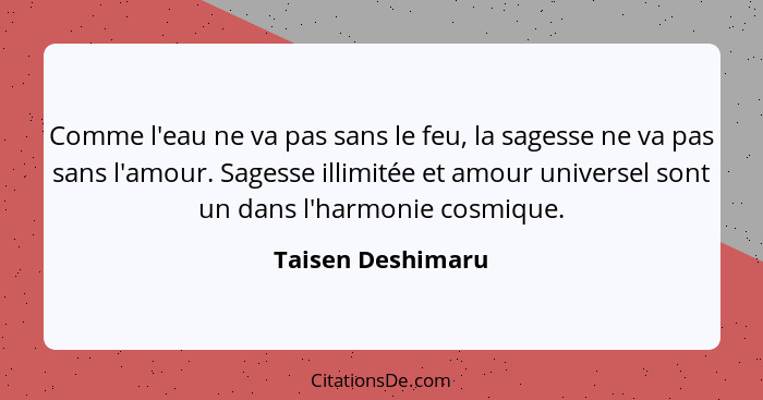 Comme l'eau ne va pas sans le feu, la sagesse ne va pas sans l'amour. Sagesse illimitée et amour universel sont un dans l'harmonie... - Taisen Deshimaru