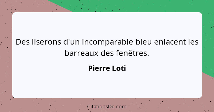 Des liserons d'un incomparable bleu enlacent les barreaux des fenêtres.... - Pierre Loti