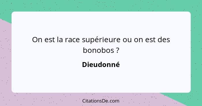 On est la race supérieure ou on est des bonobos ?... - Dieudonné