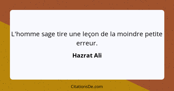 L'homme sage tire une leçon de la moindre petite erreur.... - Hazrat Ali