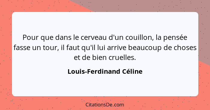 Pour que dans le cerveau d'un couillon, la pensée fasse un tour, il faut qu'il lui arrive beaucoup de choses et de bien cruel... - Louis-Ferdinand Céline