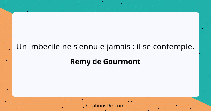 Un imbécile ne s'ennuie jamais : il se contemple.... - Remy de Gourmont