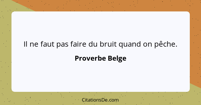 Il ne faut pas faire du bruit quand on pêche.... - Proverbe Belge