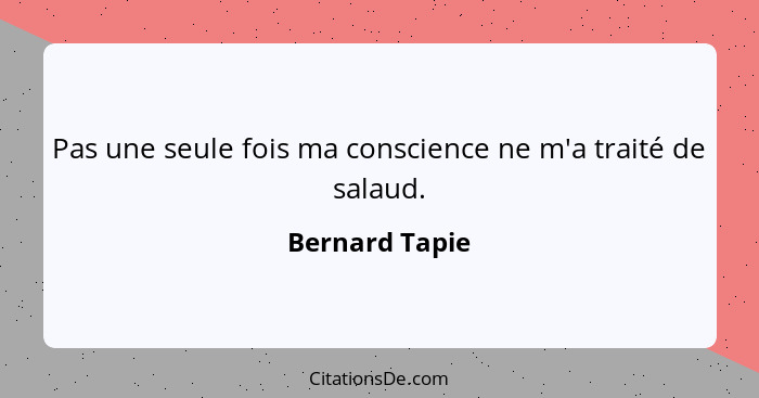 Pas une seule fois ma conscience ne m'a traité de salaud.... - Bernard Tapie