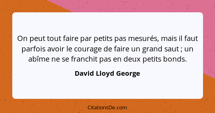 On peut tout faire par petits pas mesurés, mais il faut parfois avoir le courage de faire un grand saut ; un abîme ne se fra... - David Lloyd George