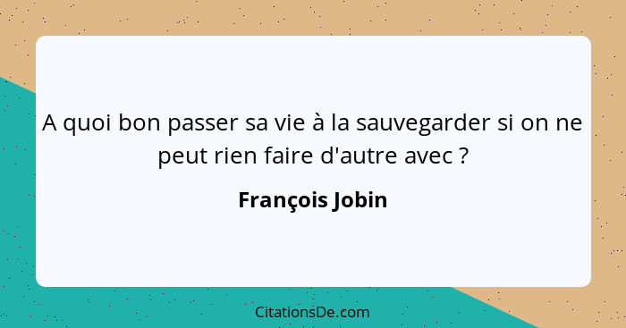 A quoi bon passer sa vie à la sauvegarder si on ne peut rien faire d'autre avec ?... - François Jobin