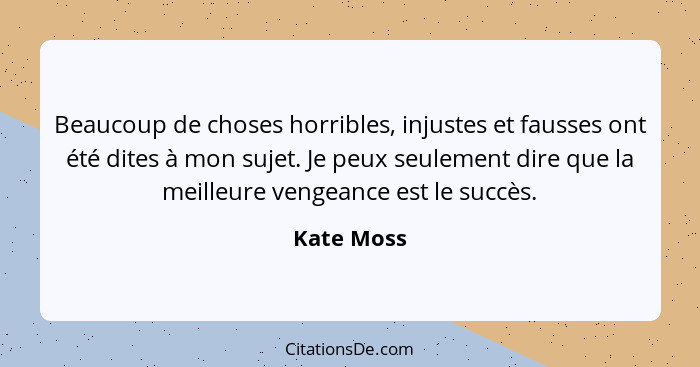 Beaucoup de choses horribles, injustes et fausses ont été dites à mon sujet. Je peux seulement dire que la meilleure vengeance est le succ... - Kate Moss