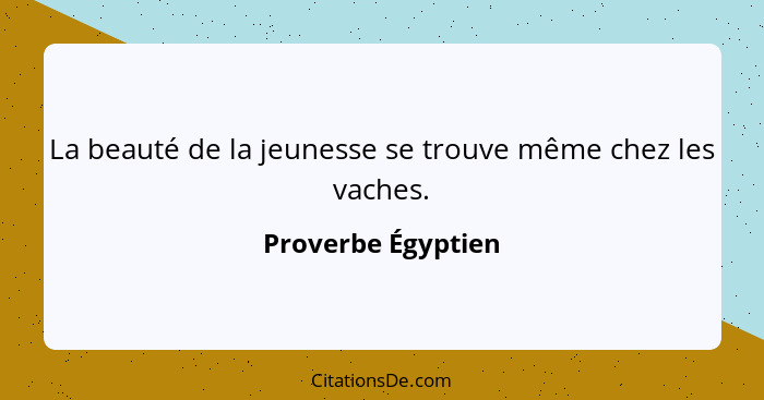 La beauté de la jeunesse se trouve même chez les vaches.... - Proverbe Égyptien