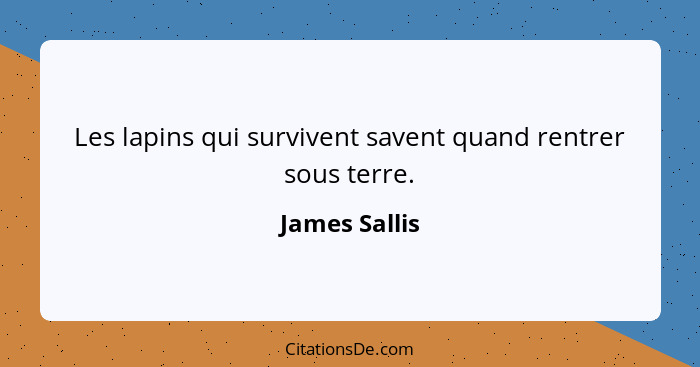 Les lapins qui survivent savent quand rentrer sous terre.... - James Sallis