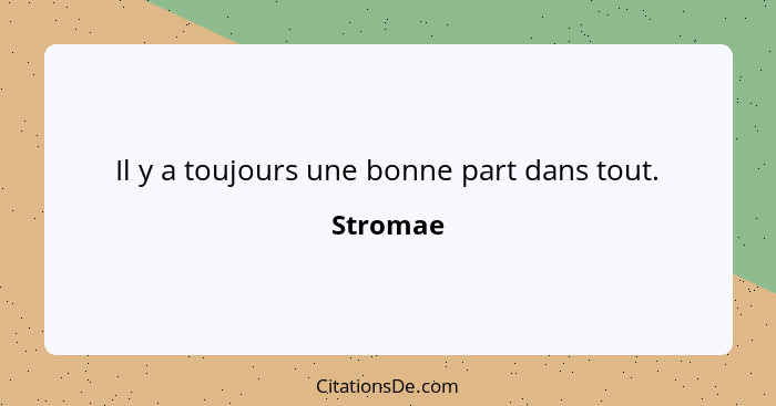 Il y a toujours une bonne part dans tout.... - Stromae