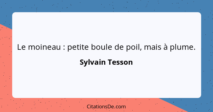 Le moineau : petite boule de poil, mais à plume.... - Sylvain Tesson