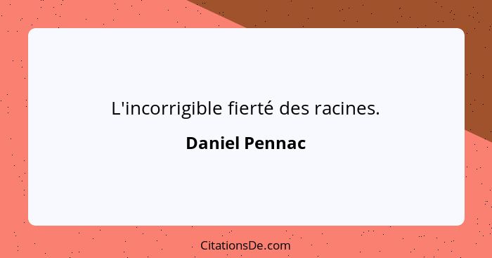 L'incorrigible fierté des racines.... - Daniel Pennac