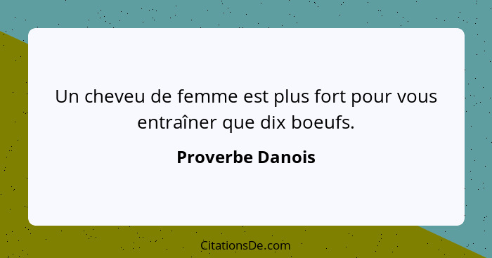 Un cheveu de femme est plus fort pour vous entraîner que dix boeufs.... - Proverbe Danois